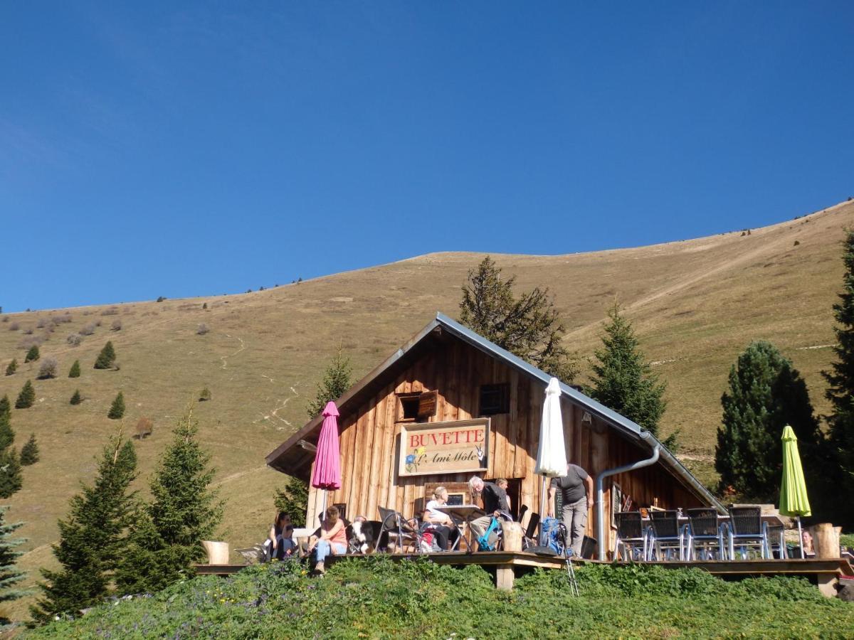Au Coeur Des Alpes Panzió Marignier Kültér fotó