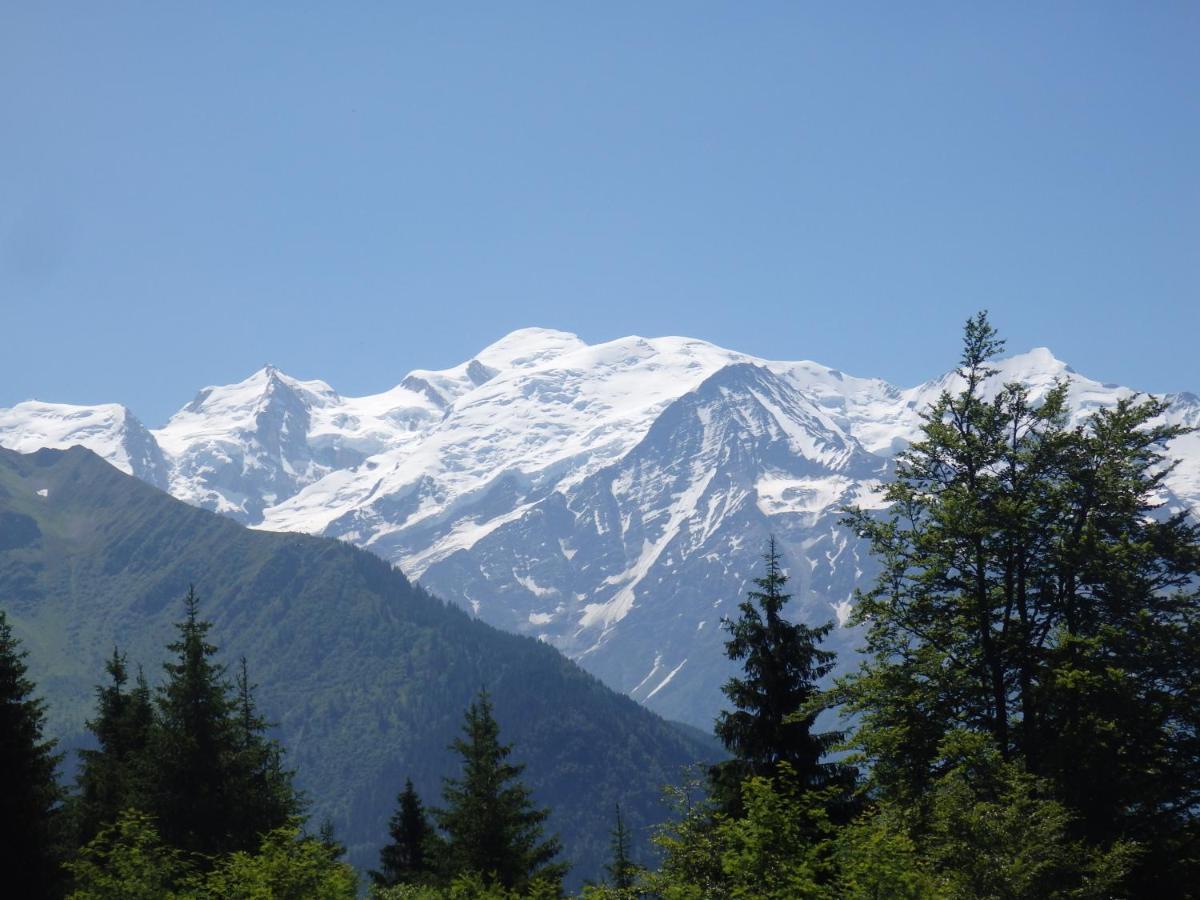 Au Coeur Des Alpes Panzió Marignier Kültér fotó