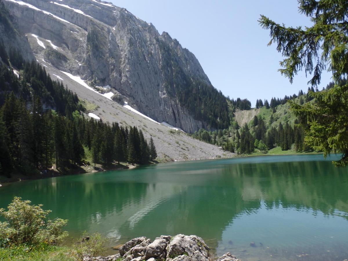 Au Coeur Des Alpes Panzió Marignier Kültér fotó